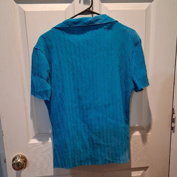 Blue Short Sleeve Blouse with Classic Collar Size Large - Picture 2 of 5